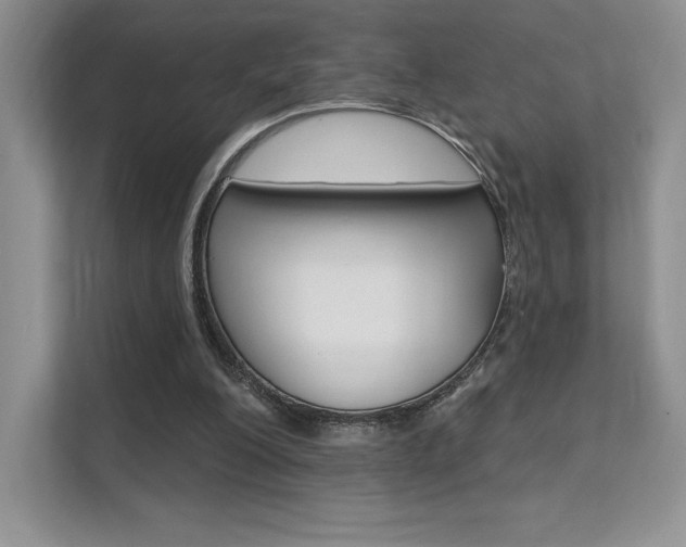 X0000112180200200908070947