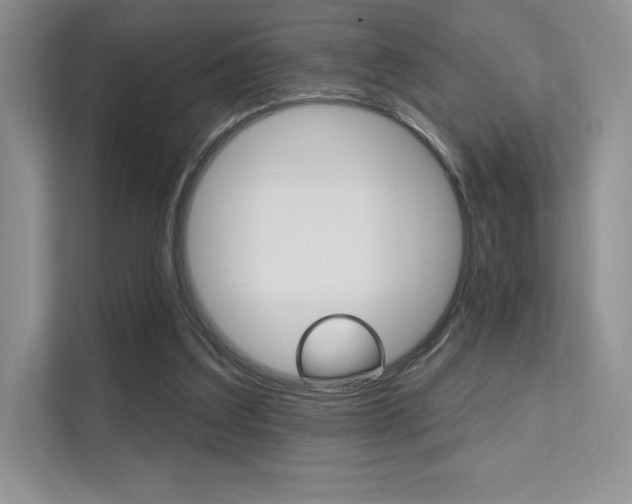 X0000112180203200908070947