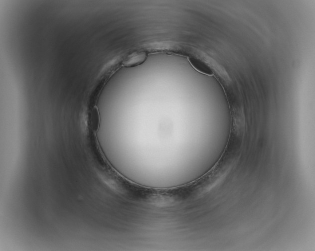 X0000112180207200908070947