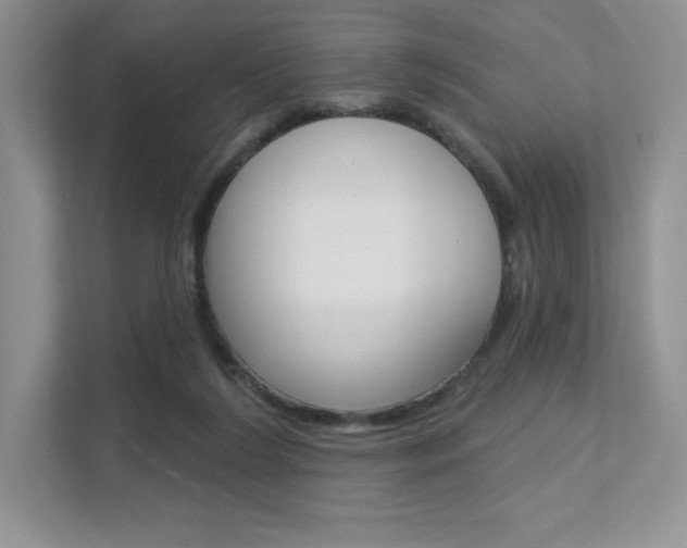 X0000112180212200908070947