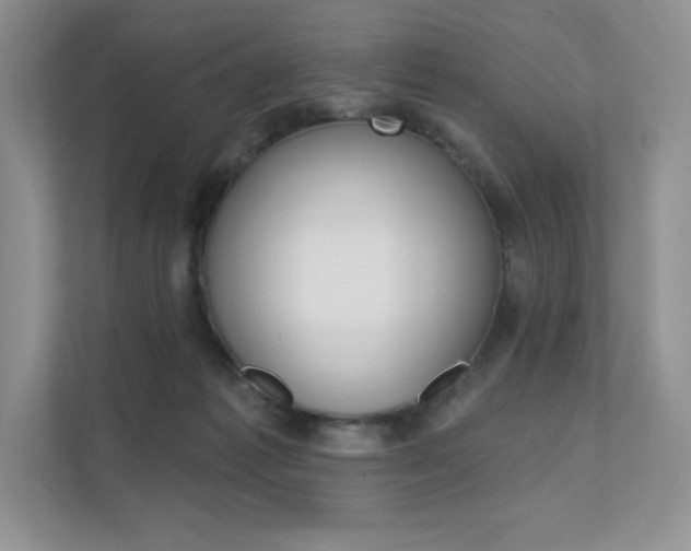 X0000112180221200908070947