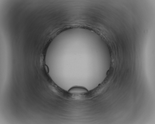 X0000112180231200908070946