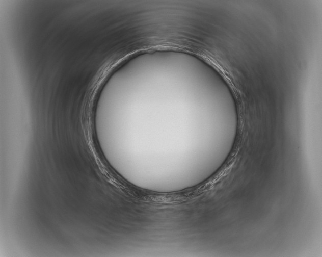 X0000112180241200908070946