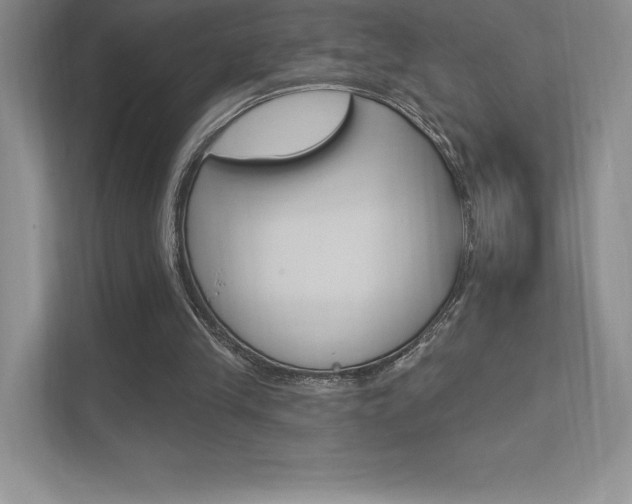 X0000112180245200908070946