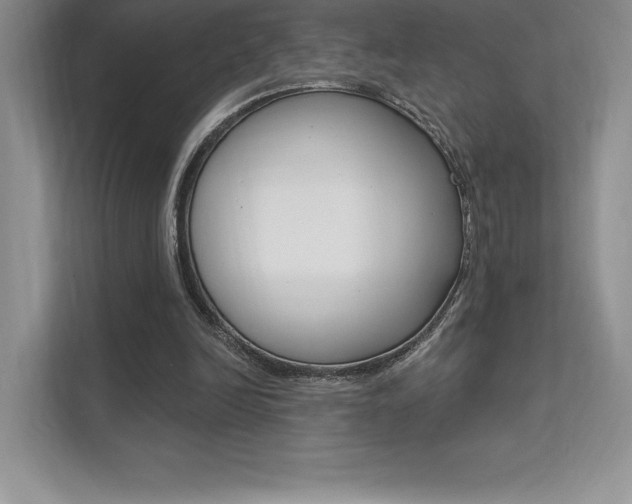 X0000112180246200908070946