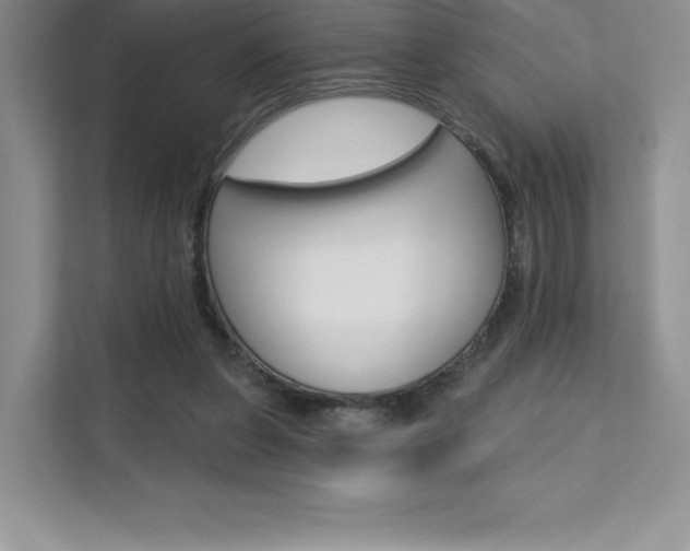X0000112180255200908070946