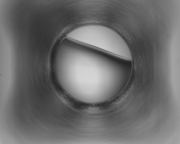X0000112180256200908070946