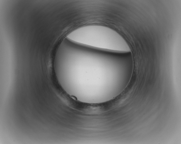 X0000112180260200908070946