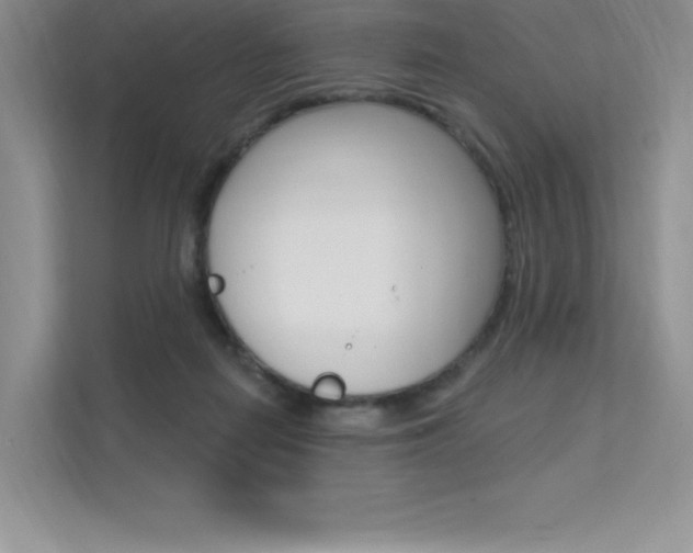 X0000112180266200908070946