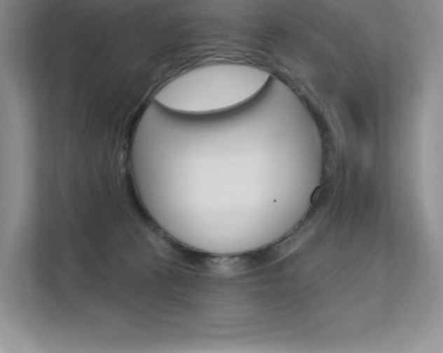 X0000112180273200908070946