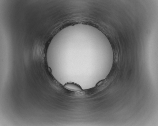 X0000112180279200908070946