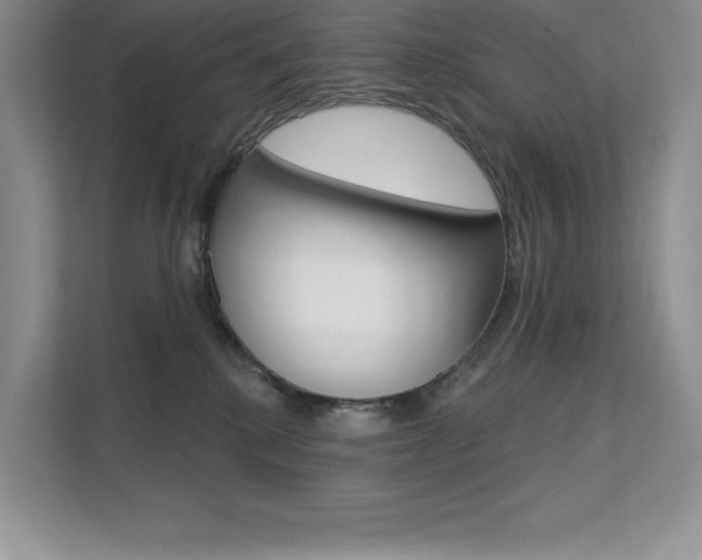 X0000112180280200908070946