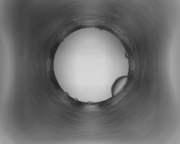 X0000112180283200908070946