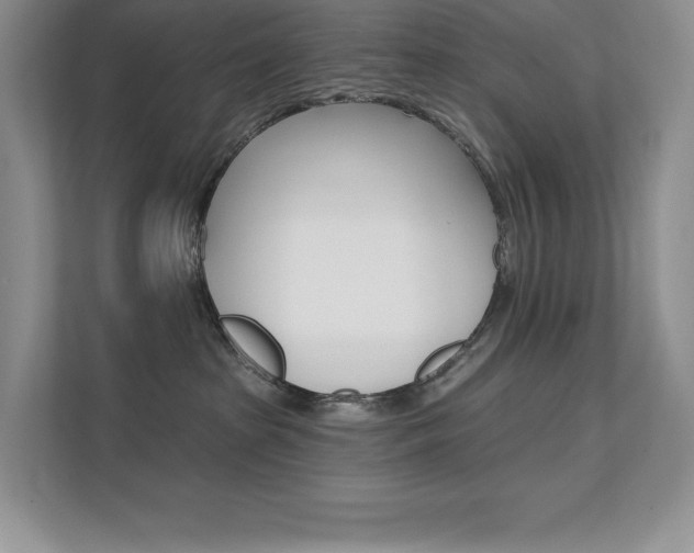 X0000112180285200908070946