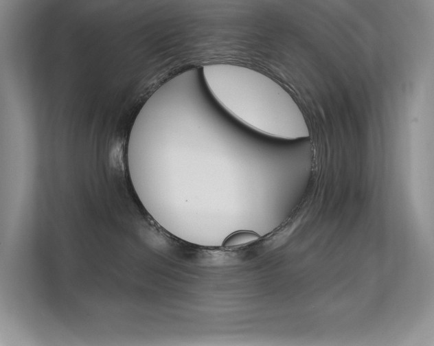 X0000112180286200908070946