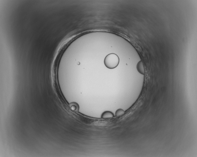 X0000112180294200908070946