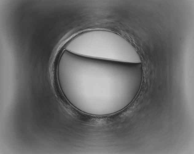 X0000112180295200908070946