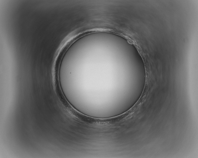 X0000112180296200908070946