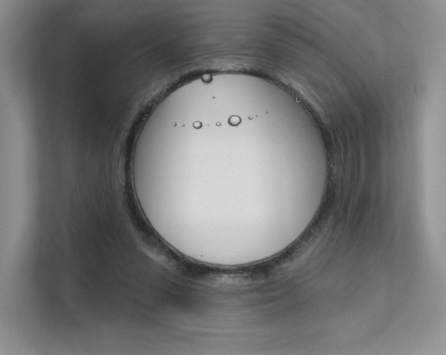 X0000112180303200908070946