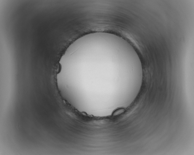X0000112180307200908070945