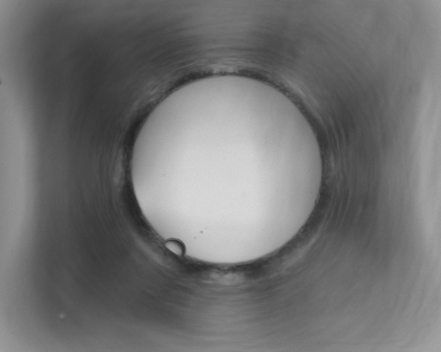 X0000112180311200908070945