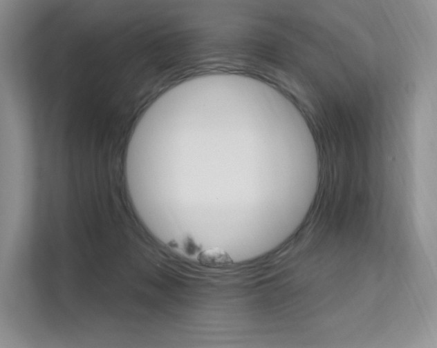 X0000112180317200908070945