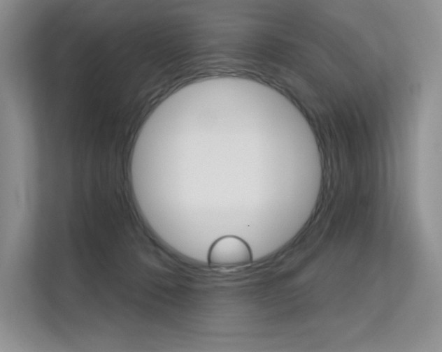 X0000112180320200908070945