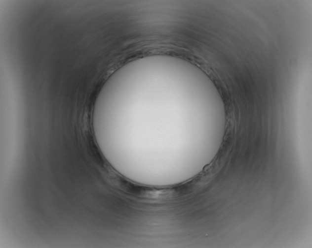 X0000112180323200908070945
