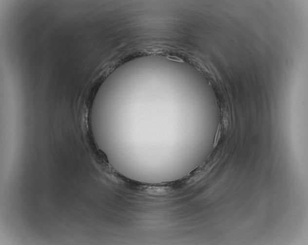 X0000112180332200908070945