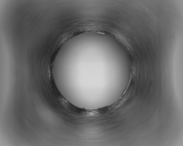 X0000112180333200908070945