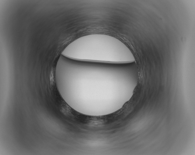 X0000112180335200908070945