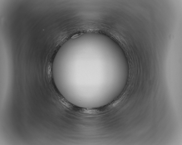 X0000112180336200908070945