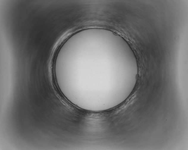 X0000112180341200908070945