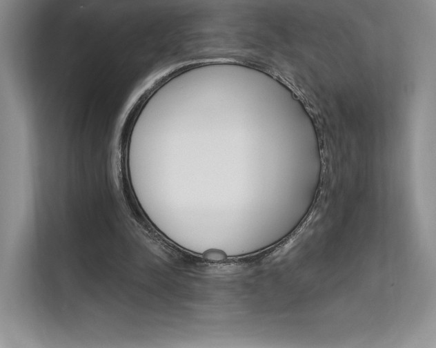 X0000112180342200908070945
