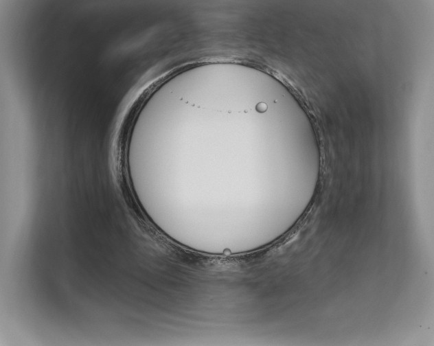 X0000112180343200908070945