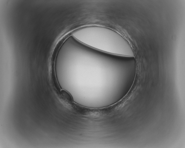 X0000112180344200908070945