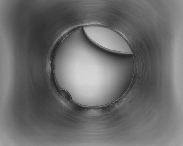 X0000112180350200908070945