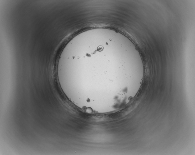 X0000112180351200908070945