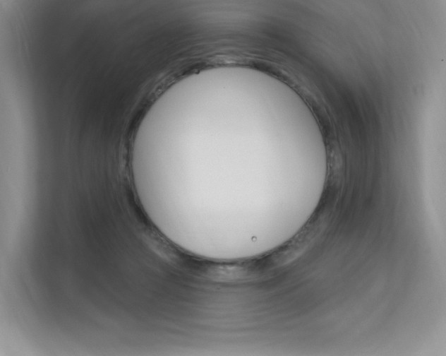 X0000112180361200908070945