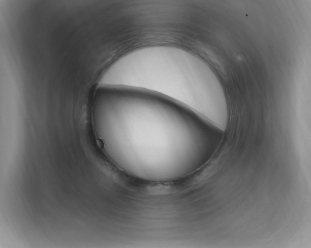 X0000112180362200908070945