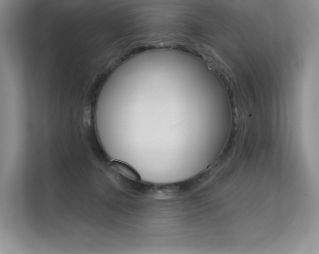 X0000112180368200908070945