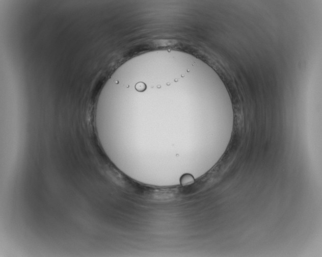X0000112180373200908070945
