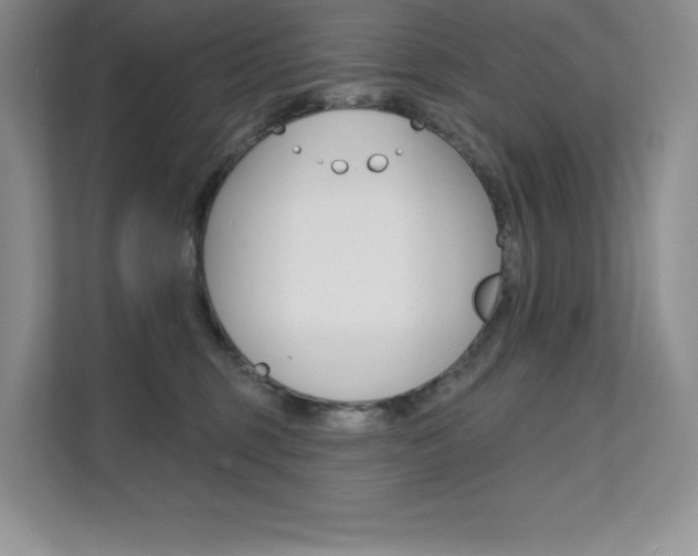 X0000112180375200908070945