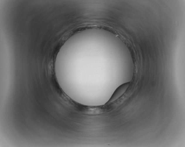 X0000112180376200908070945