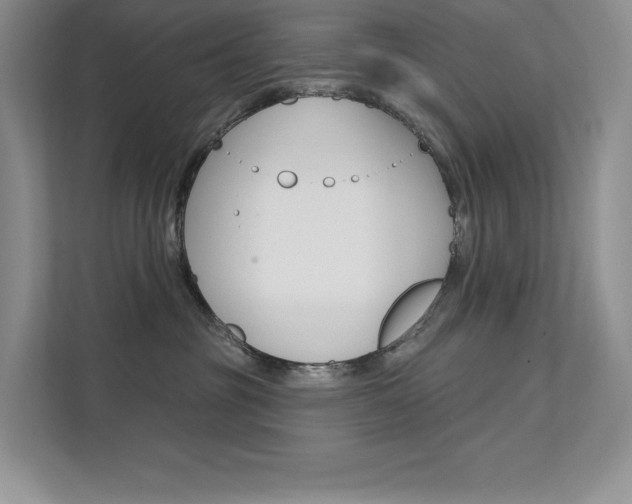 X0000112180381200908070945