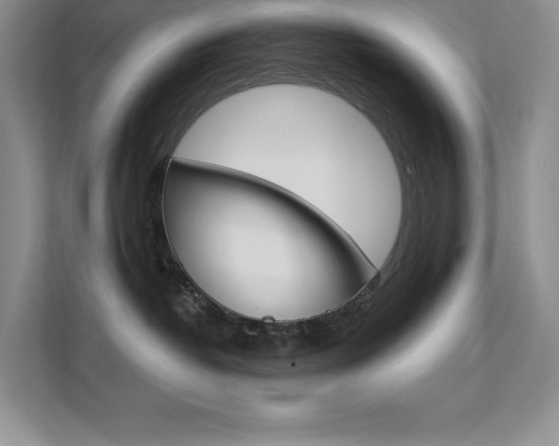 X0000112180382200908070945