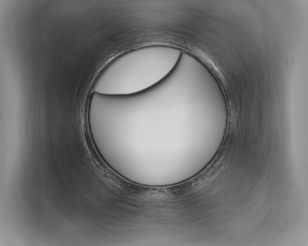X0000112180386200908070944