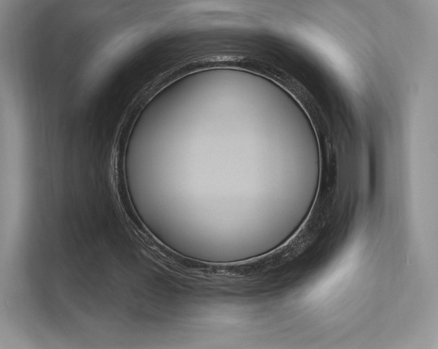 X0000112180387200908070944