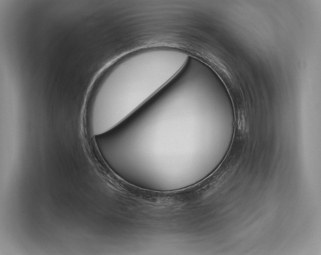 X0000112180388200908070944