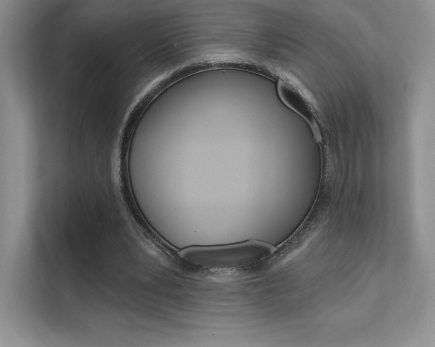 X0000112180391200908070944